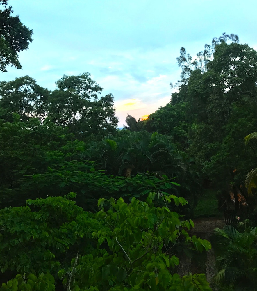 Roatan Bed & Breakfast Apartments
