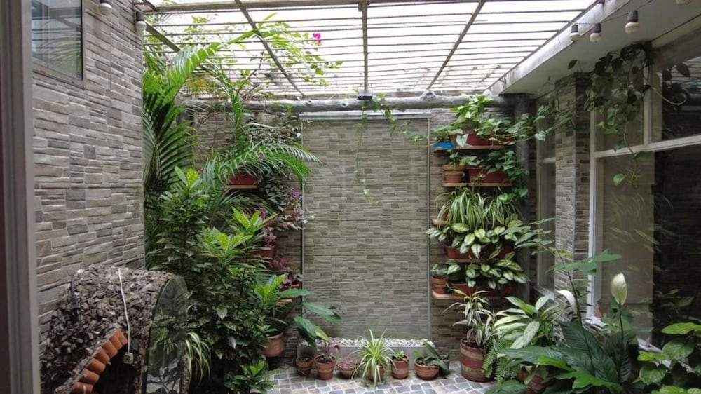 Nora's Laureles