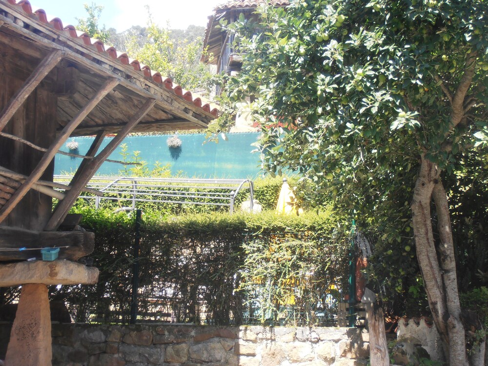 Photo 30