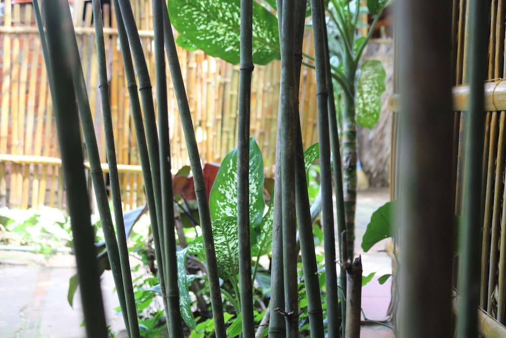 Under the coconut tree - Hostel
