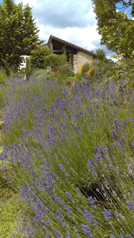 Photo 28