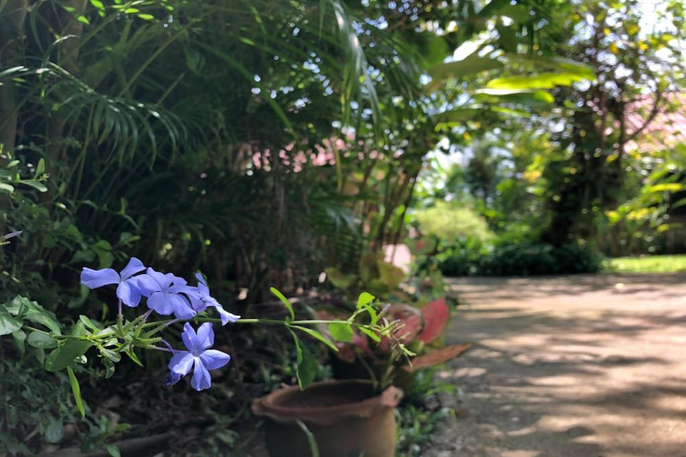 Happy Garden villa