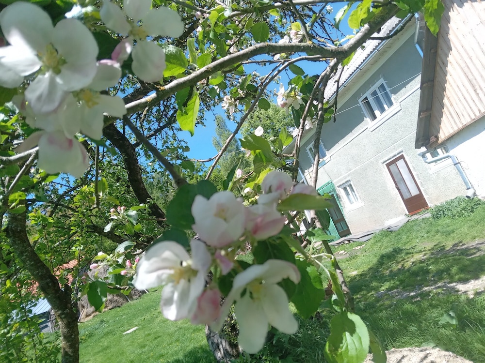 Photo 40