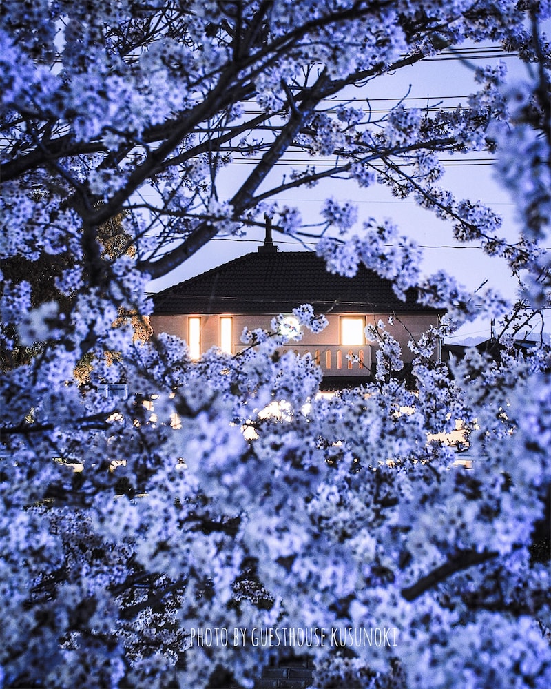Guest house kusunoki - Hostel view 2
