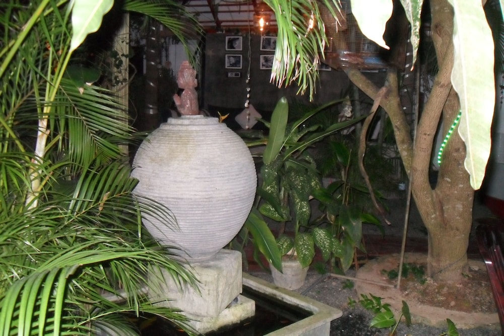 Photo 46