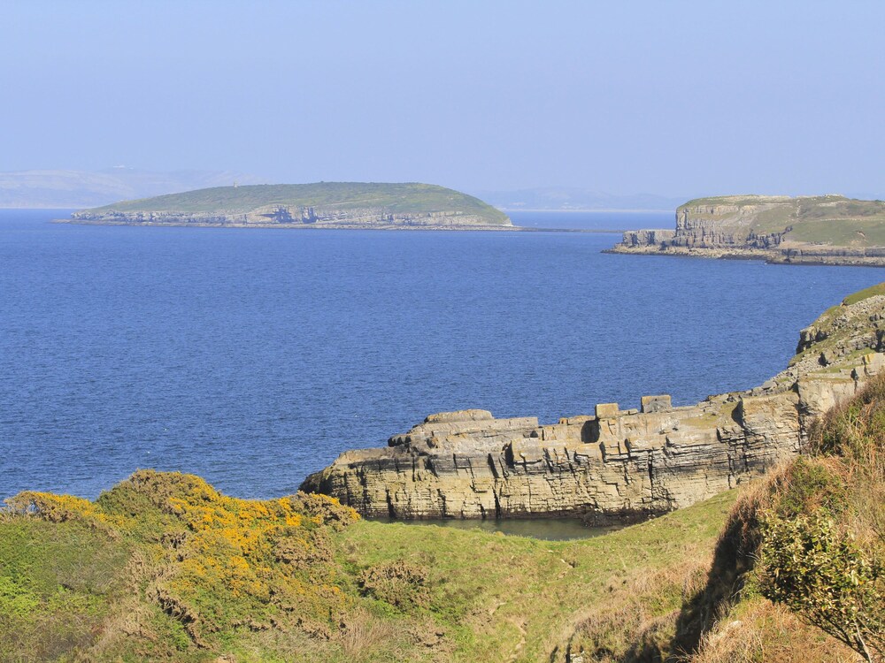 Plas Elyn