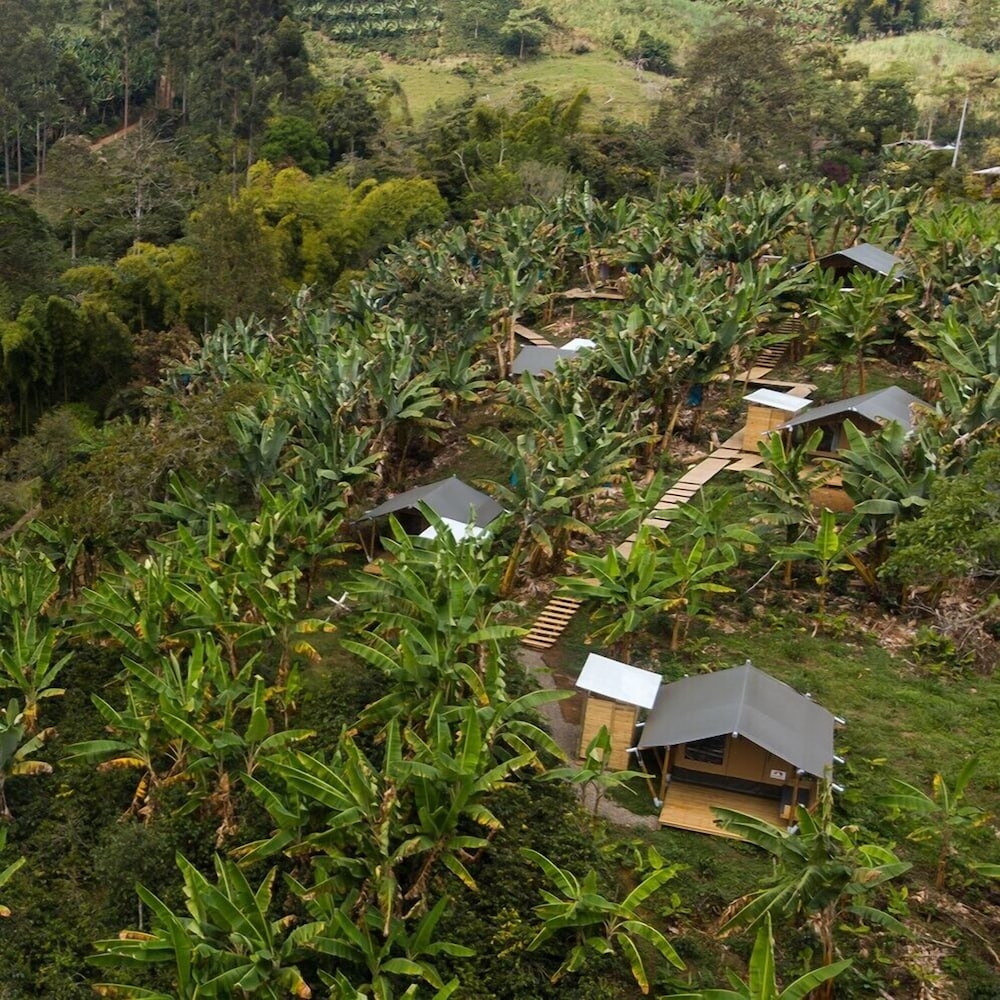 Glamping Jardín
