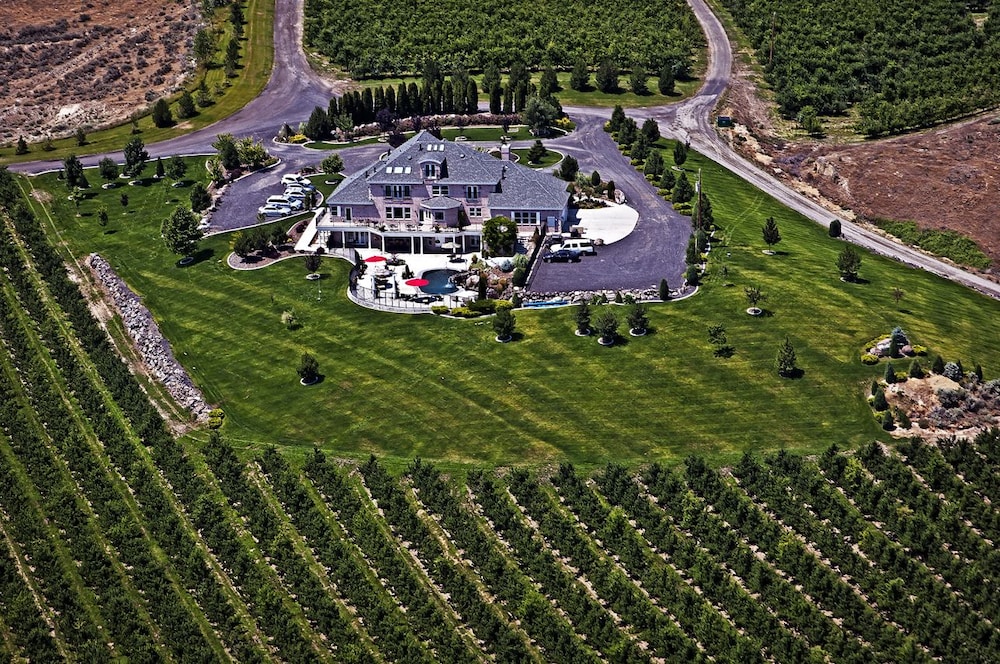 Photo 65