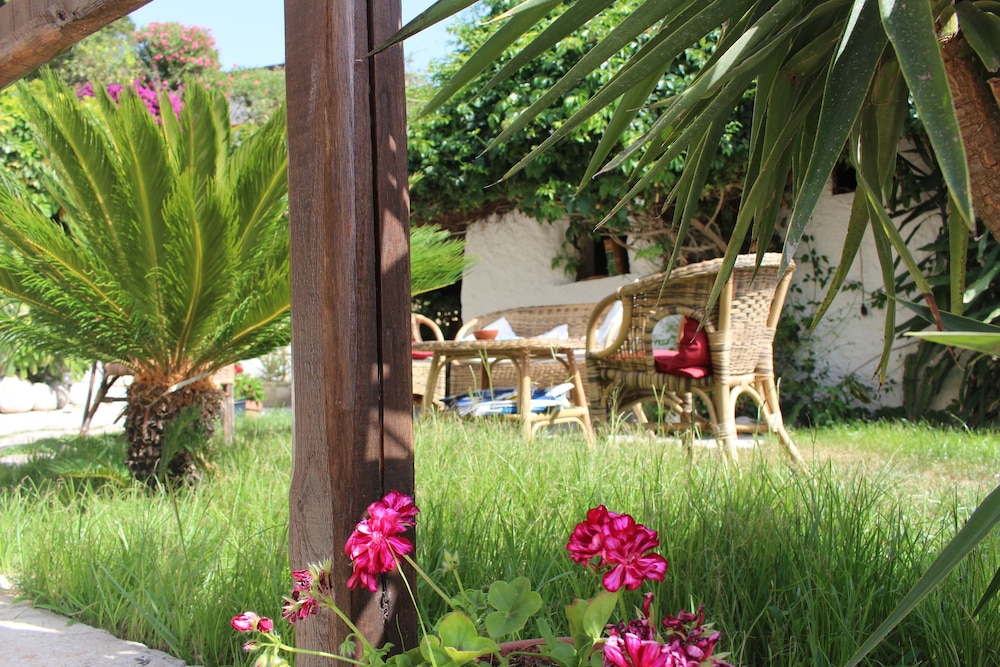 Hotel Mercurio