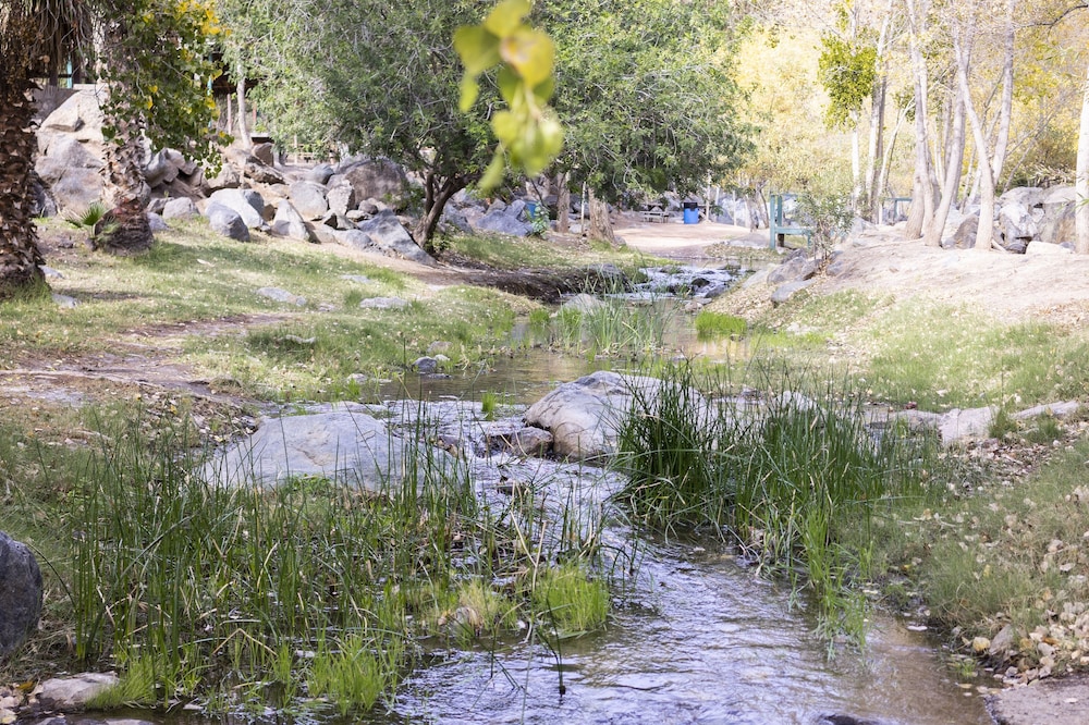 Ensenada Vacations - Rancho San Carlos Aguas Termales - Property Image 123
