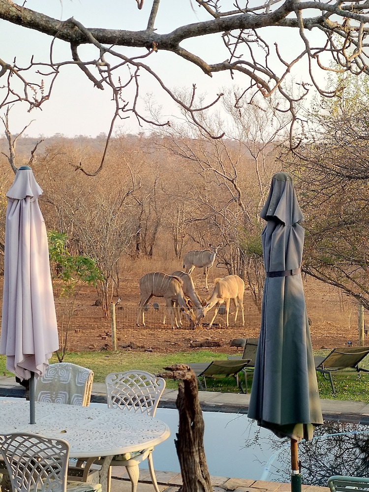 Call of the Wild Lodge