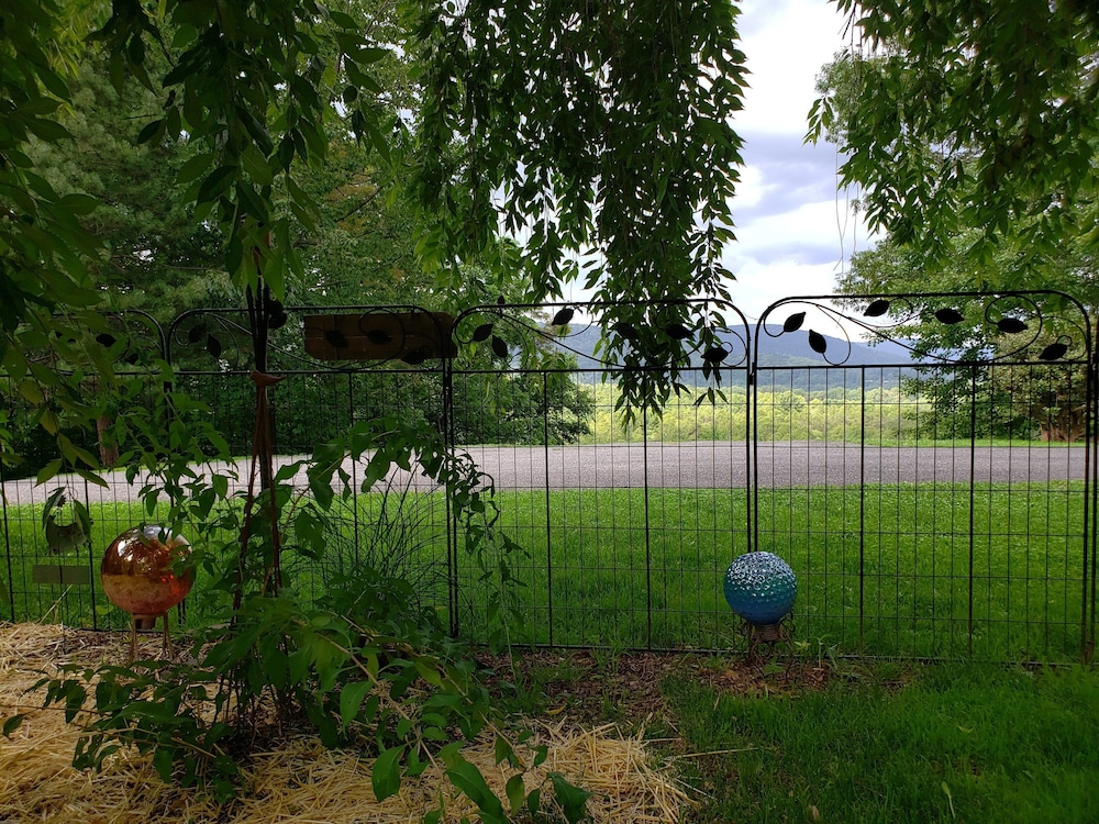 Photo 22