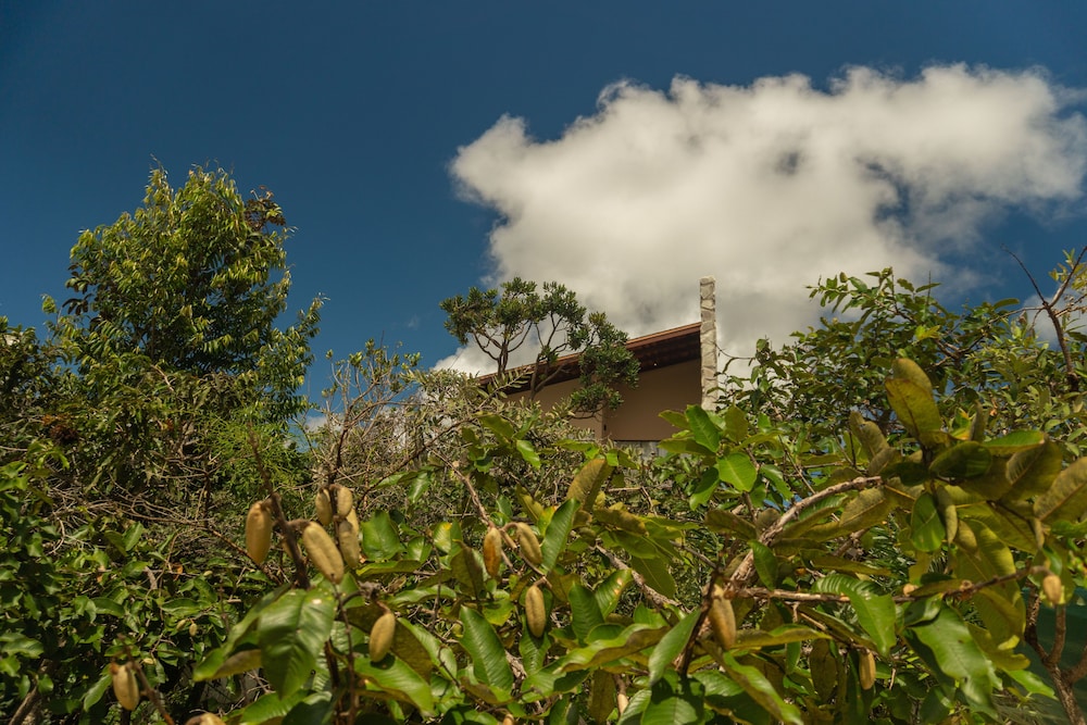 Lofts Lobo Guara