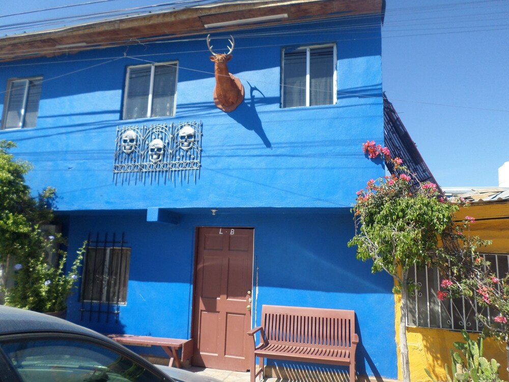 Photo 41