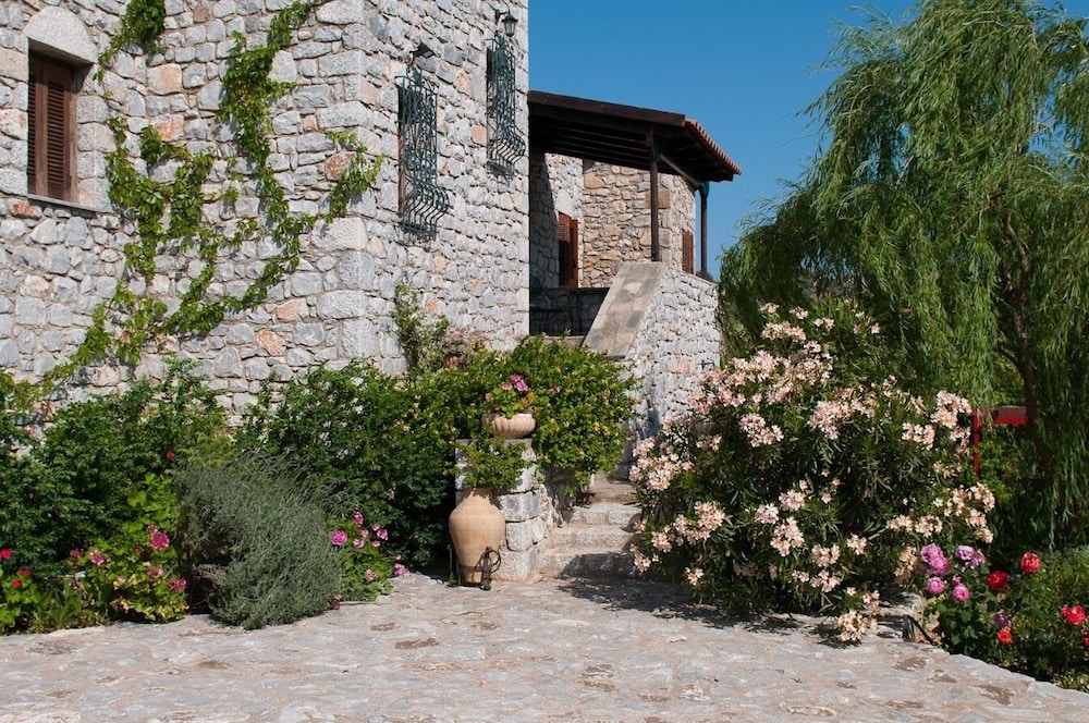 Photo 14