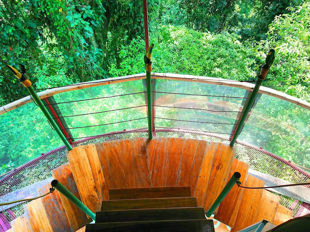 Nature Observatorio Amazing Treehouse