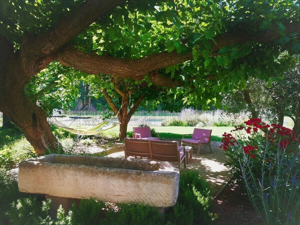 Photo 41