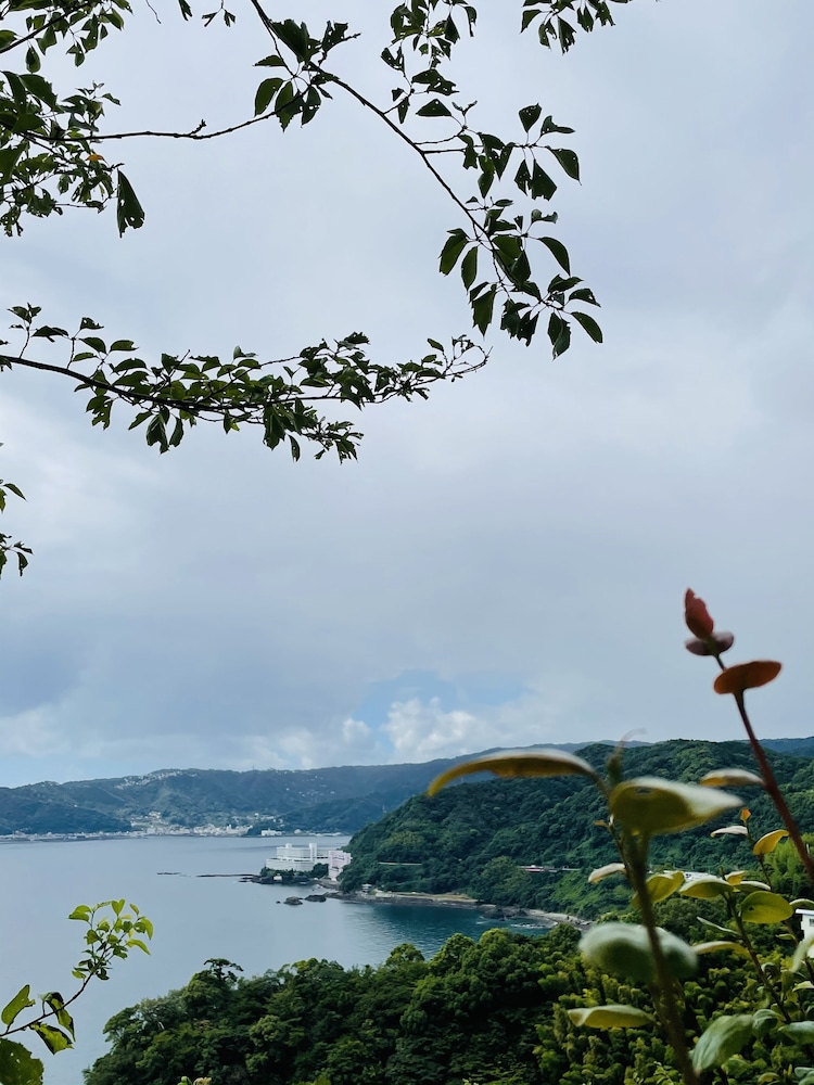 The Sea In Izu