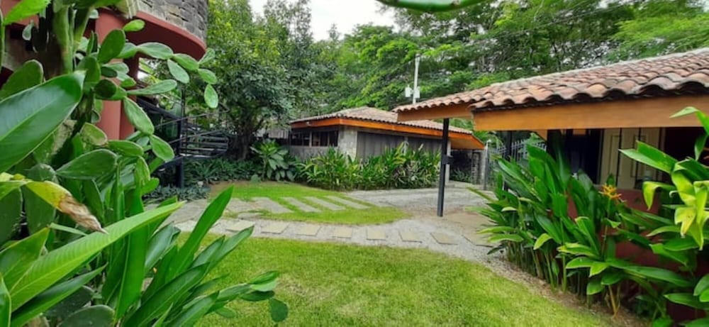 Photo 11