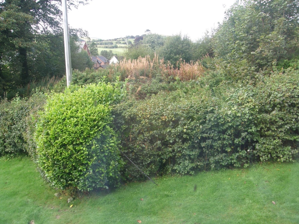 Photo 38
