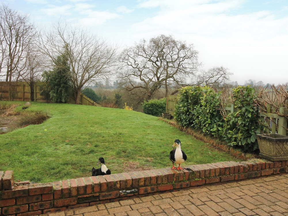 Spitfire Lodge
