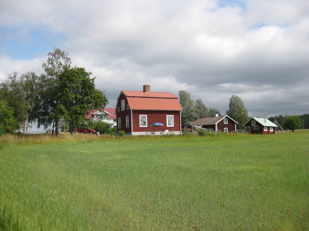 Photo 19