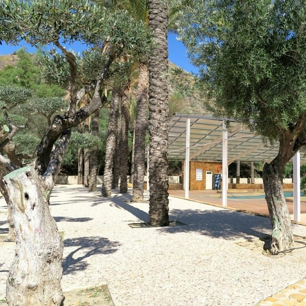 Camping & Bungalow Cueva Negra
