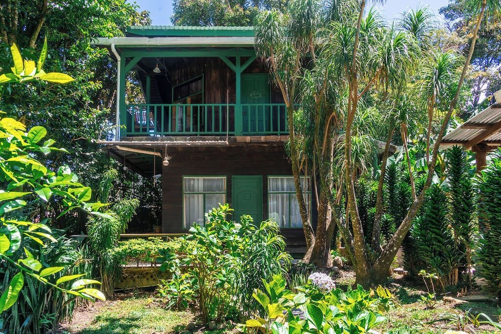 Violeta Homes Monteverde