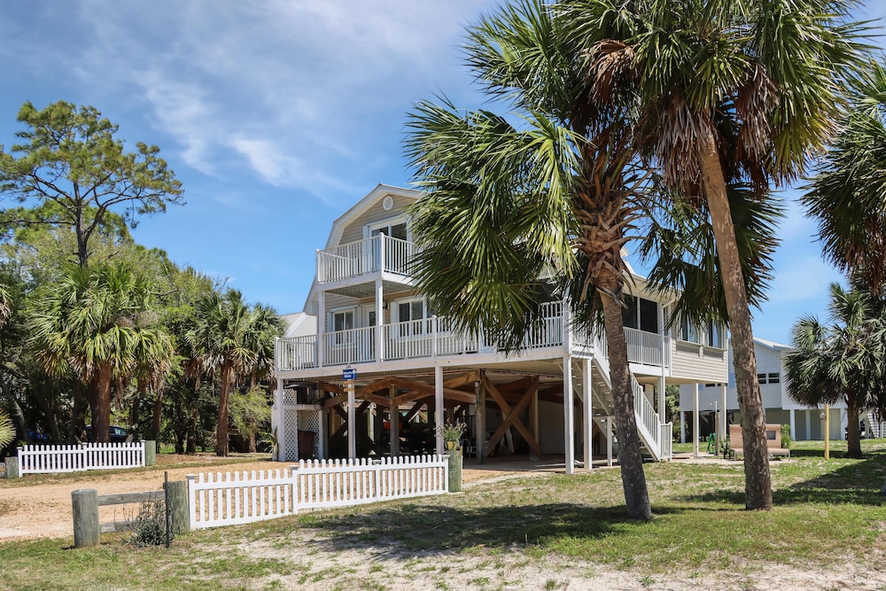 Palmetto Breeze