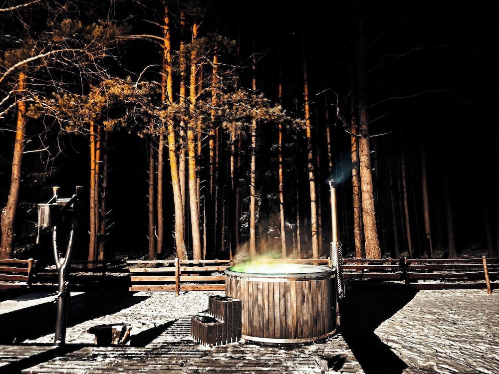 Metai Miške&a Year in the Forest