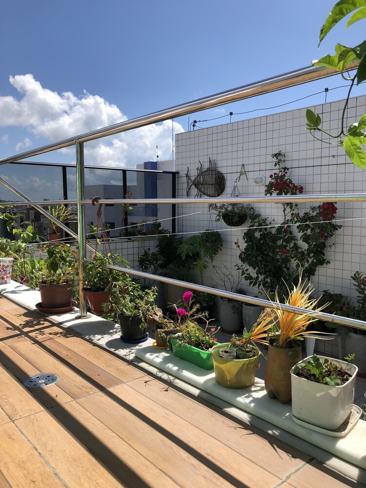 roof