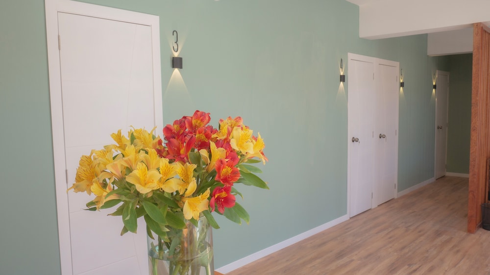 Quito Female Only Hostal-Solo Travelers