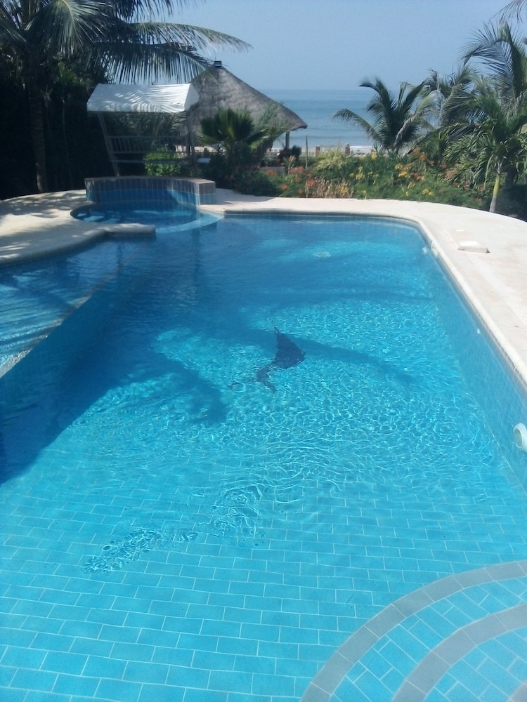 Photo 10