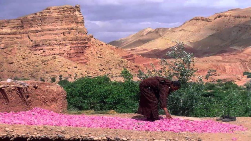 Riad Igrane