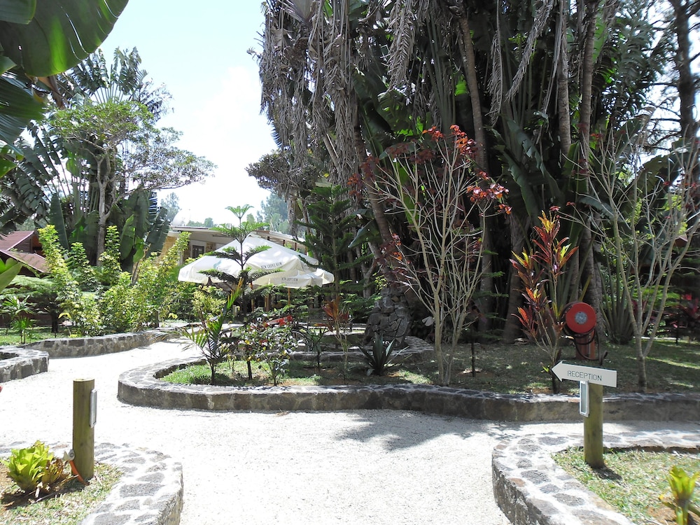 Le Domaine de L’arbre du Voyageur
