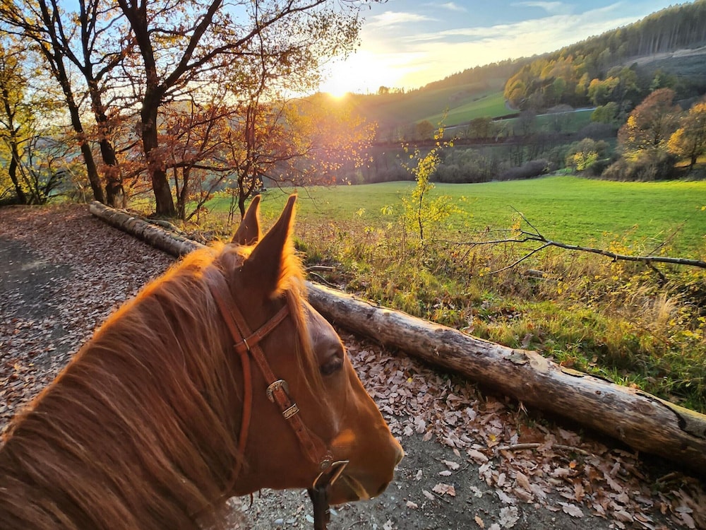 Ferienwohnung mit Bergblick