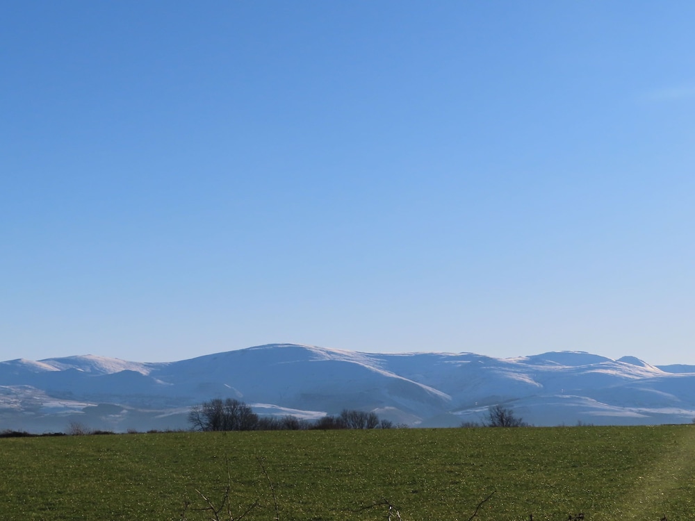 Plas Elyn