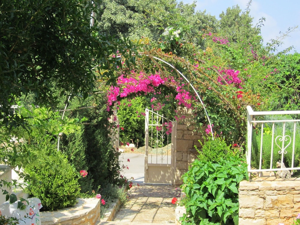 Photo 29