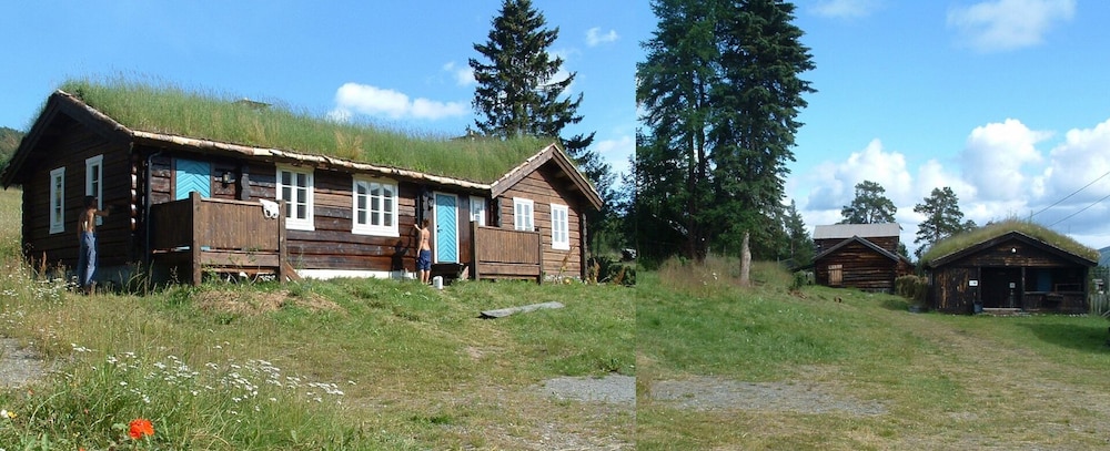Photo 11
