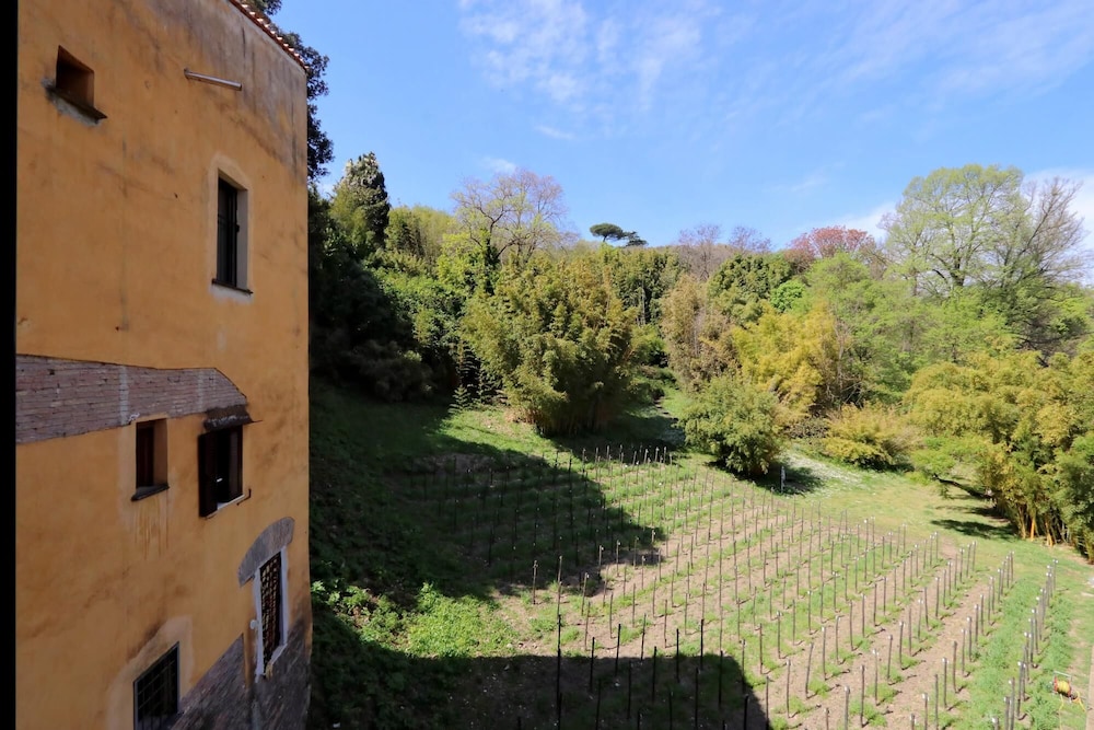Rm-h501-gari36d3 Il Mulino di Trastevere - G4