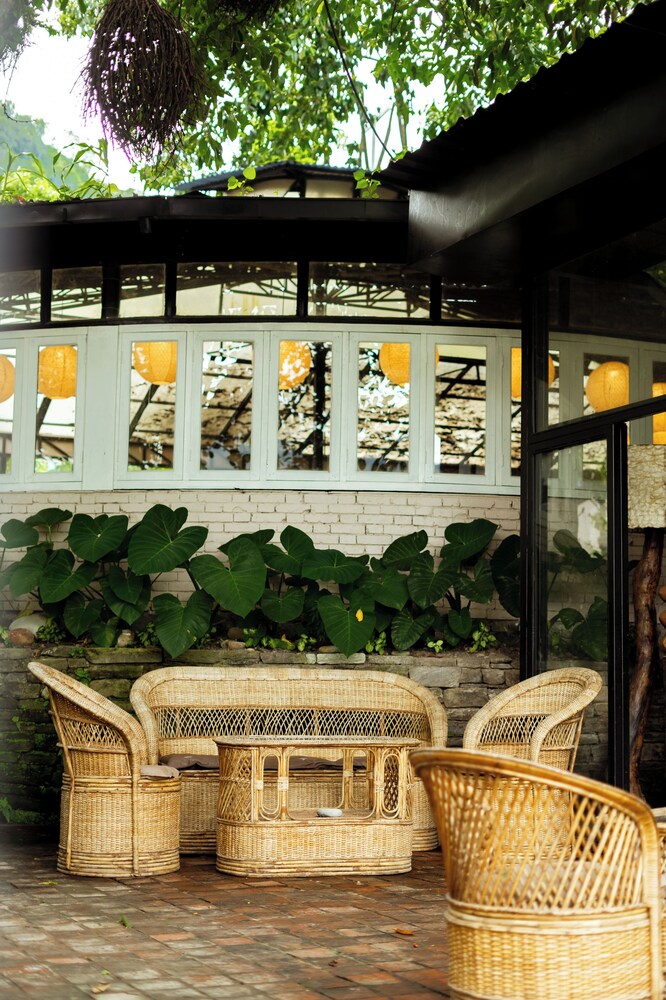 Krazy Gecko Resort