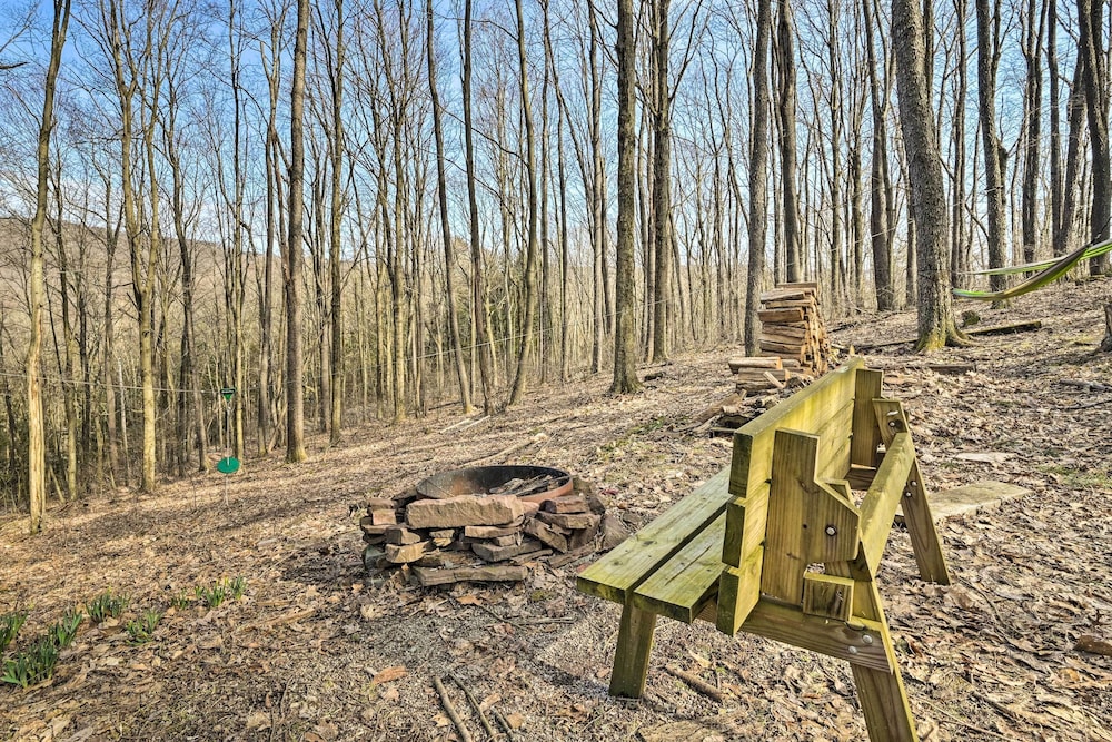 Unplugged Mountain Retreat With Porch Swings! - Property Image 5