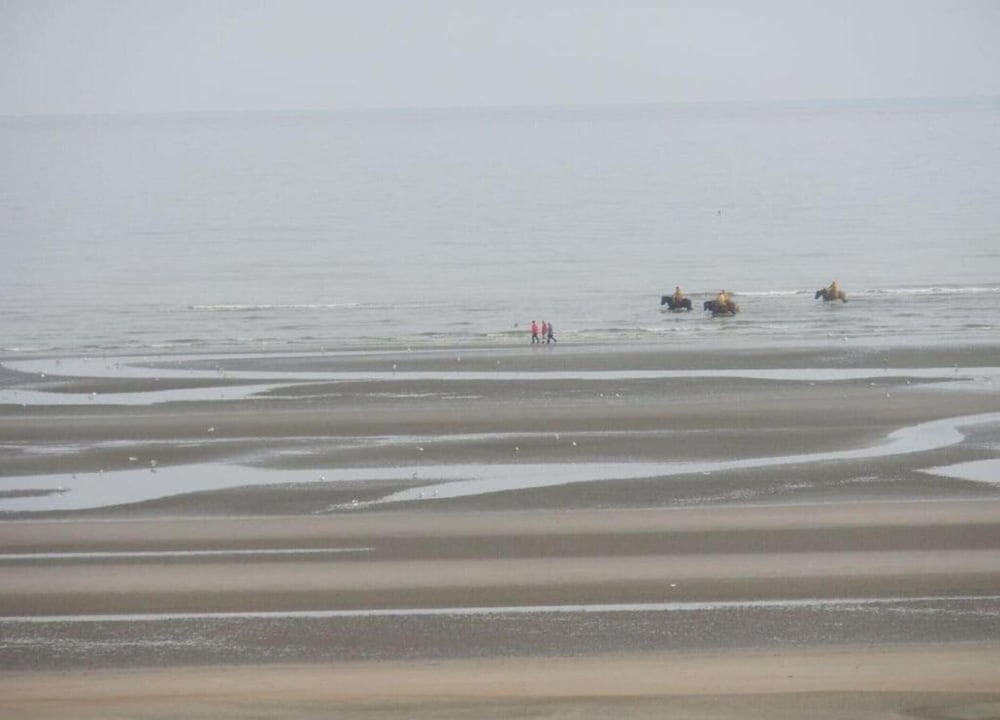 Apartment in Oostduinkerke With Sea View