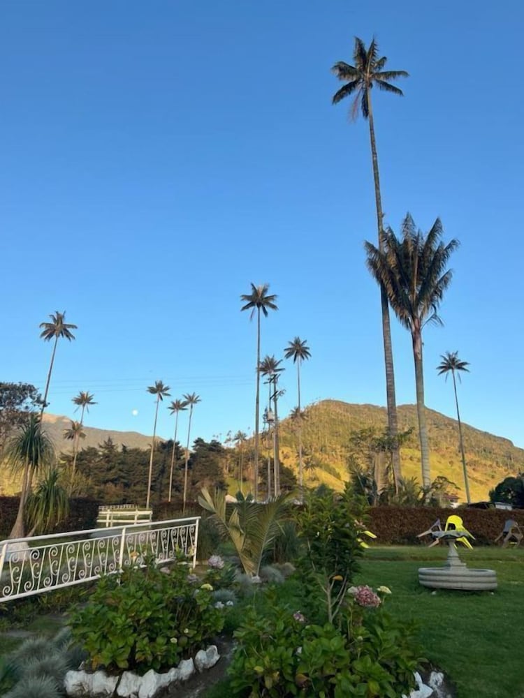 Bosques de Cocora Donde Juan B