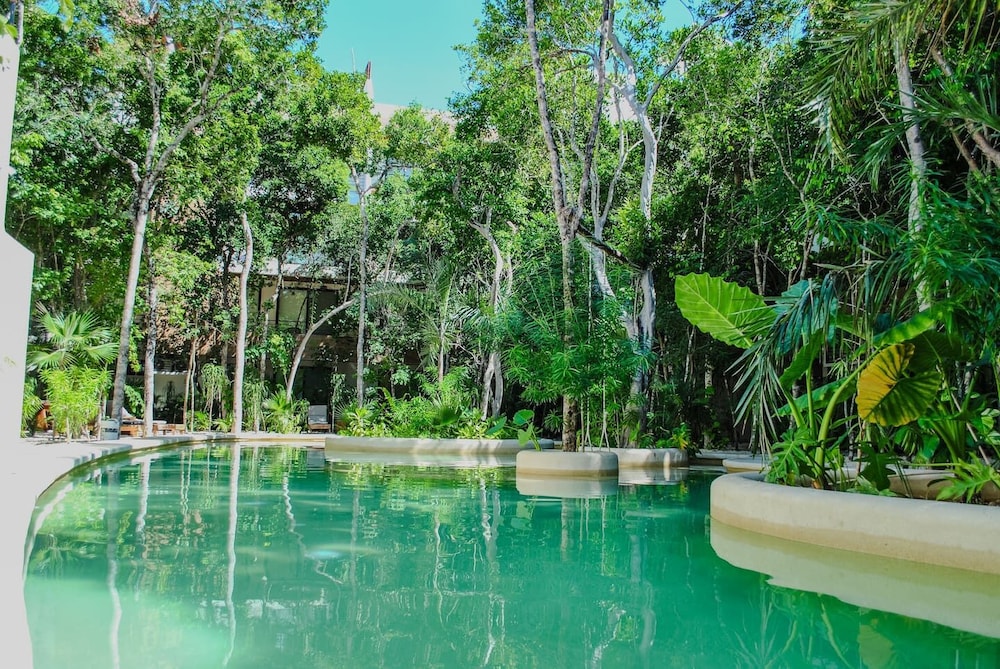 Esencia Botanic Piscina Privada
