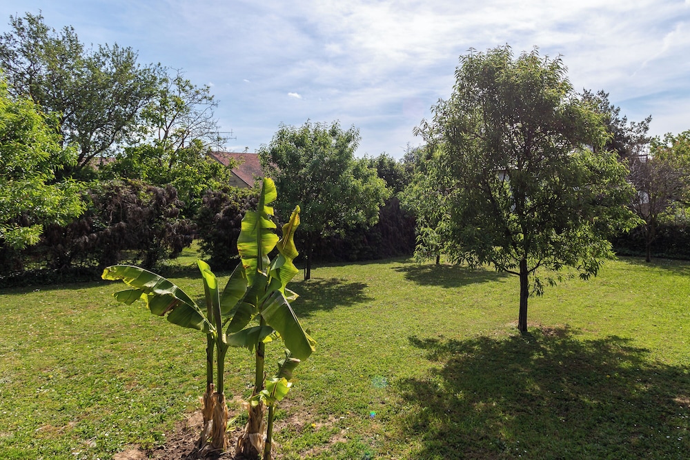 Centrum Apartment
