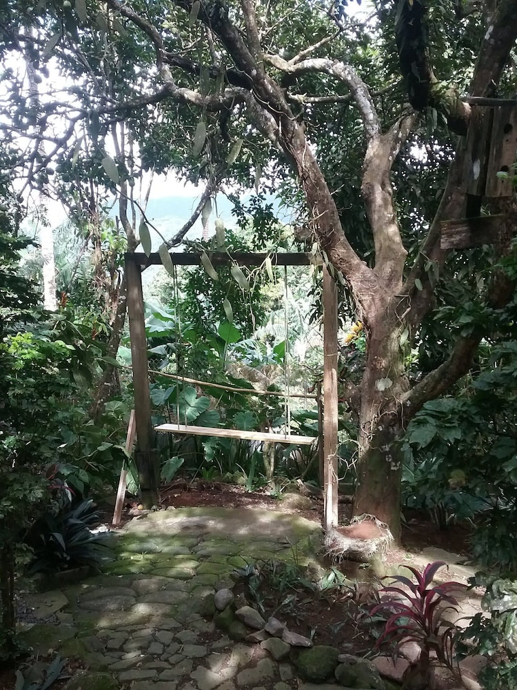 Tony & Aldona's Retreat view 2