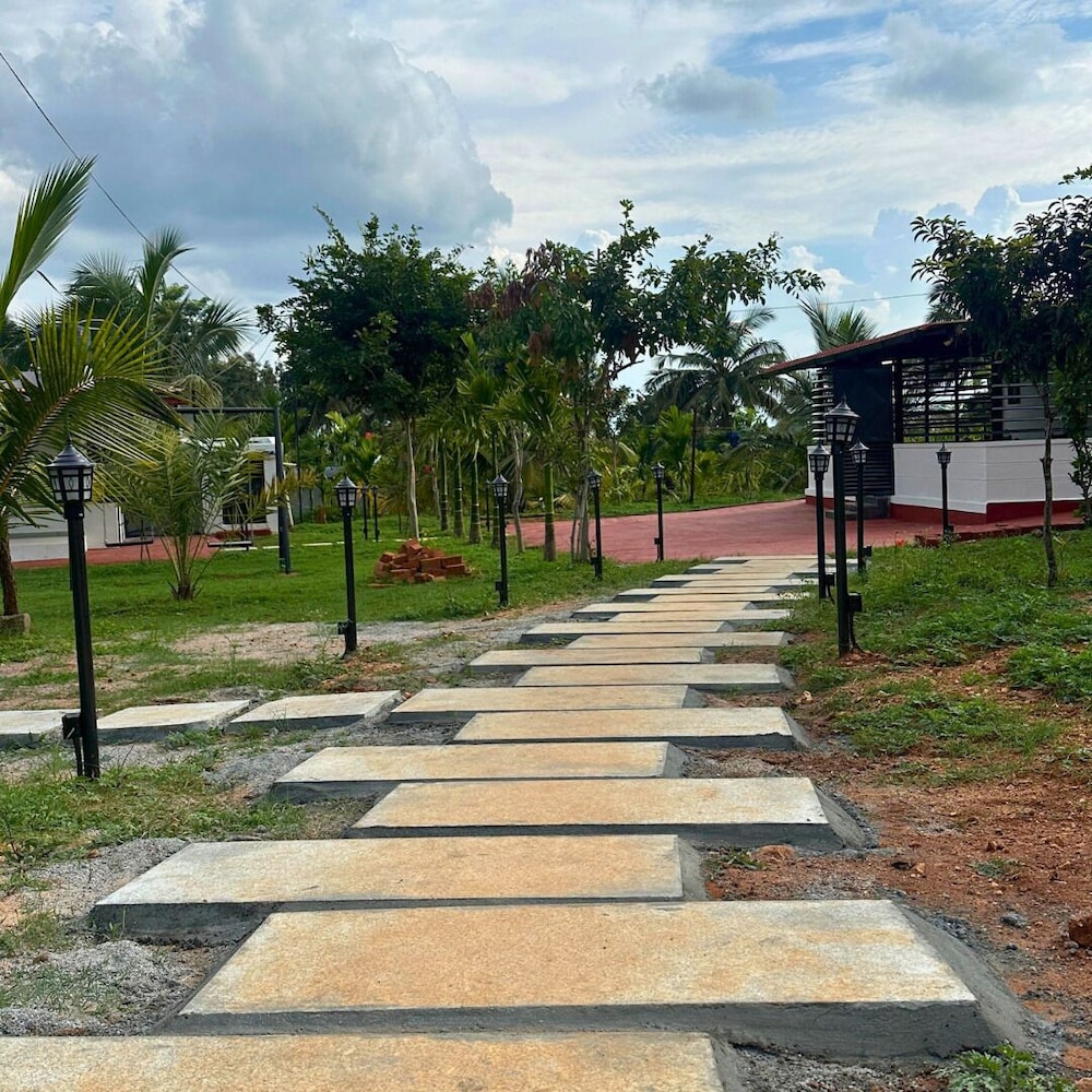 JUNGLE FARMS BY MAARK INN