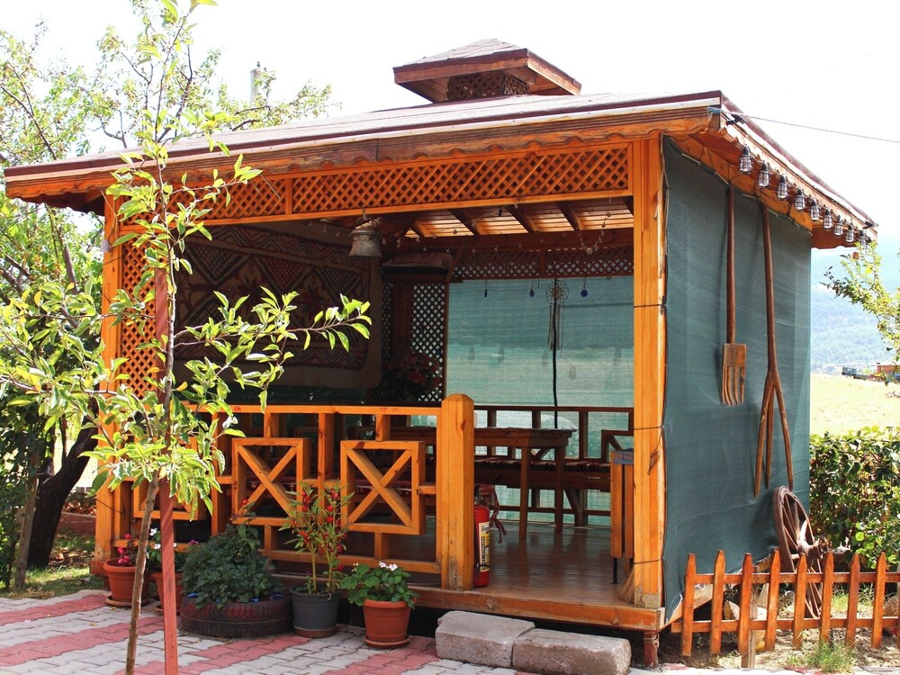 Photo 12
