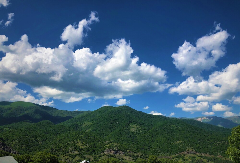 Check Inn Dilijan